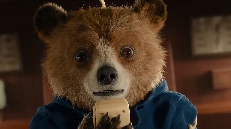 Paddington v džungli