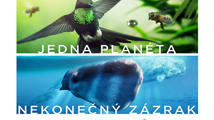 Earth: Deň na zázračnej planéte