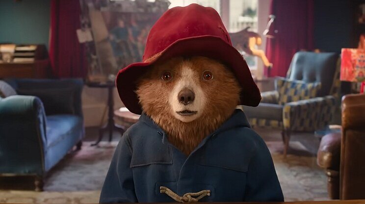 Paddington v džungli